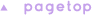PAGETOP